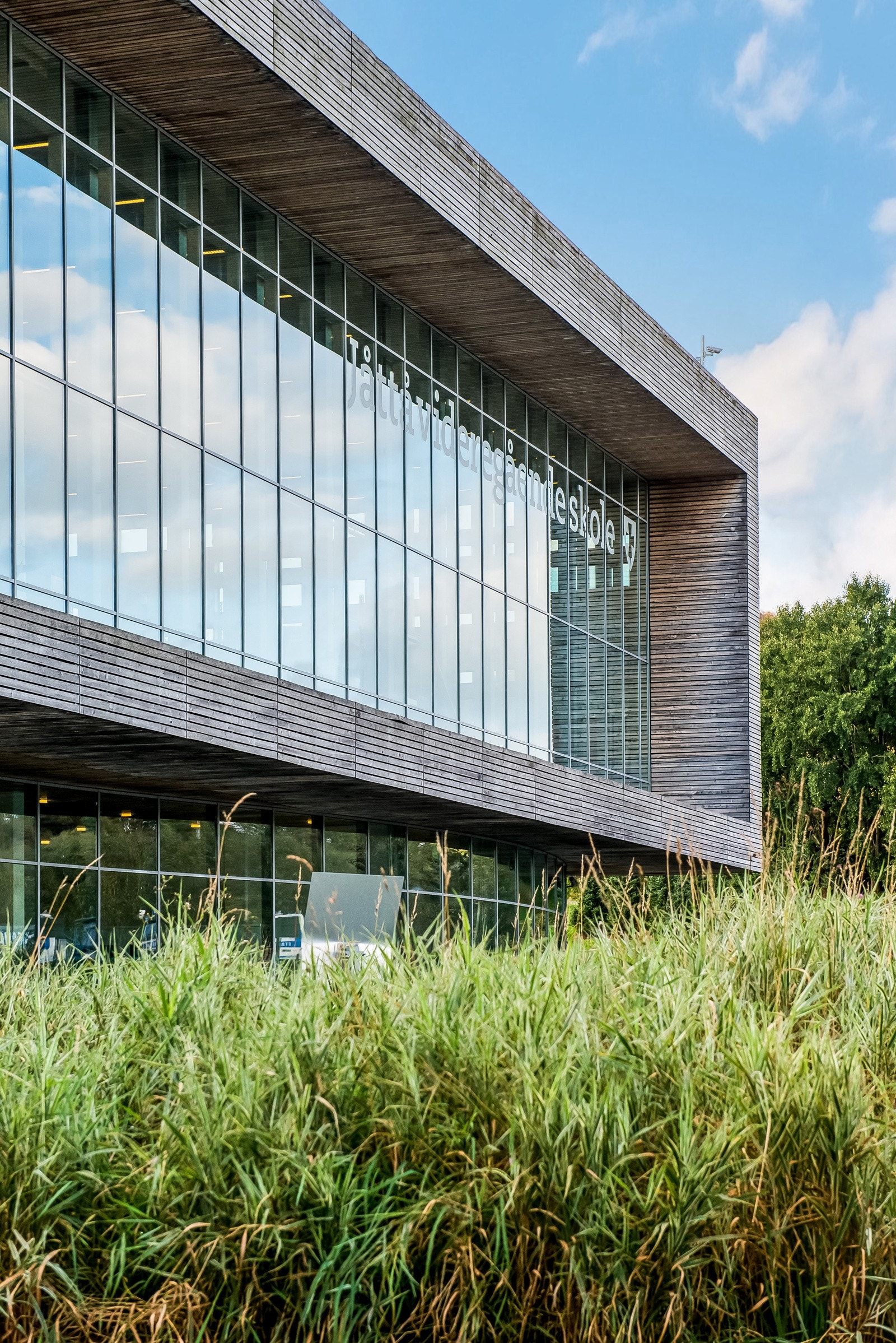 Nærområde. Galleribilde