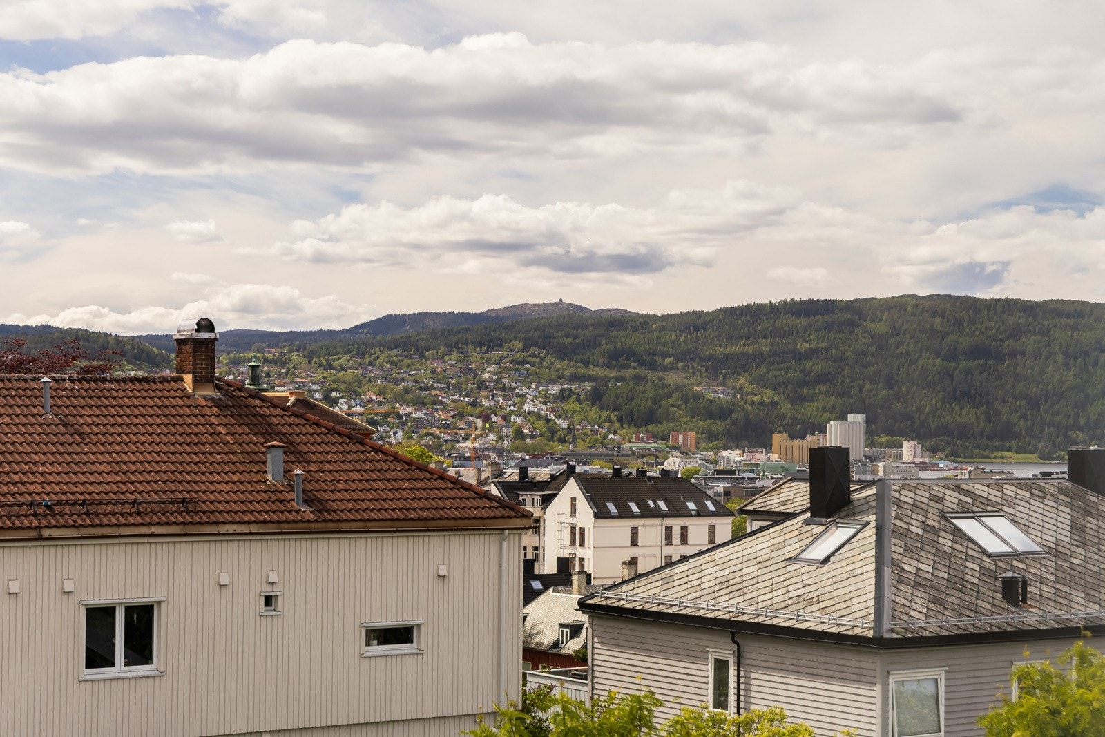 Fantastiske utsiktsforhold med utsikt til både Munkholmen, Gråkallen, Festningen og Tyholttårnet. Galleribilde