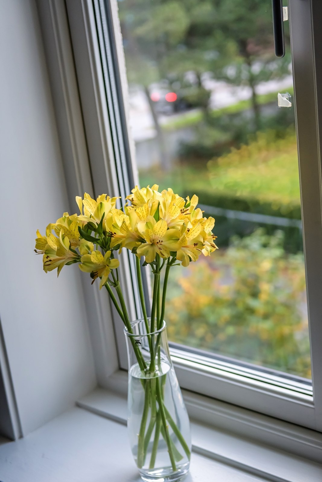 Vinduer og balkongdør fra 2018. Galleribilde