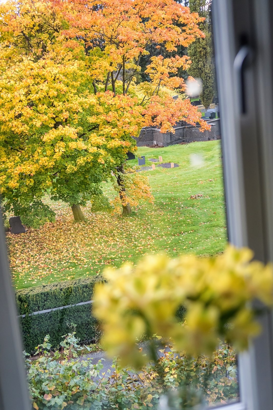 Fint utsyn fra kjøkkenet. Galleribilde