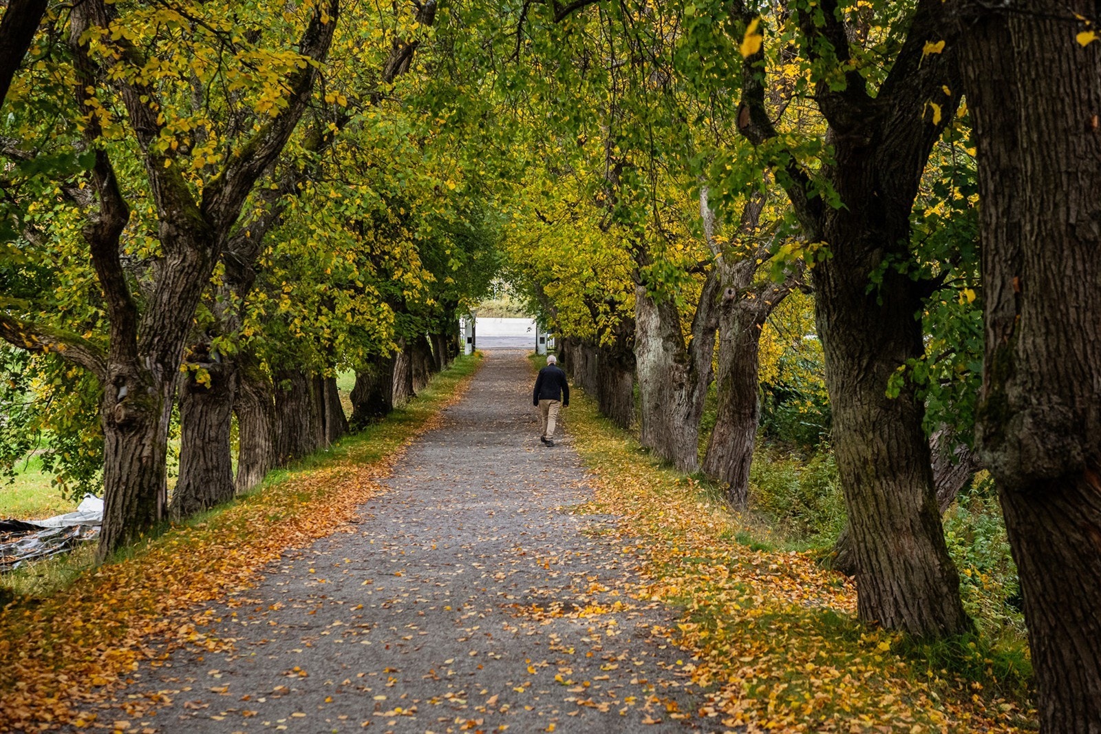 Marka med flotte turmuligheter i nærheten. Galleribilde
