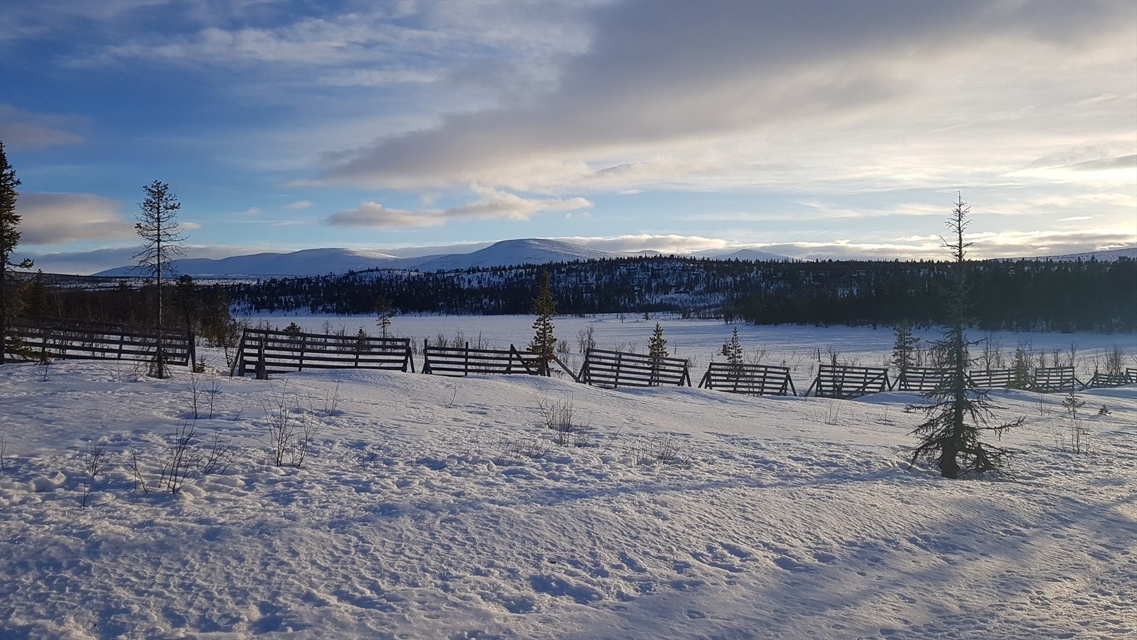 Flotte omgivelser som kan nytes enten på barmark eller med ski på beina. Bilde tatt av selger. Galleribilde