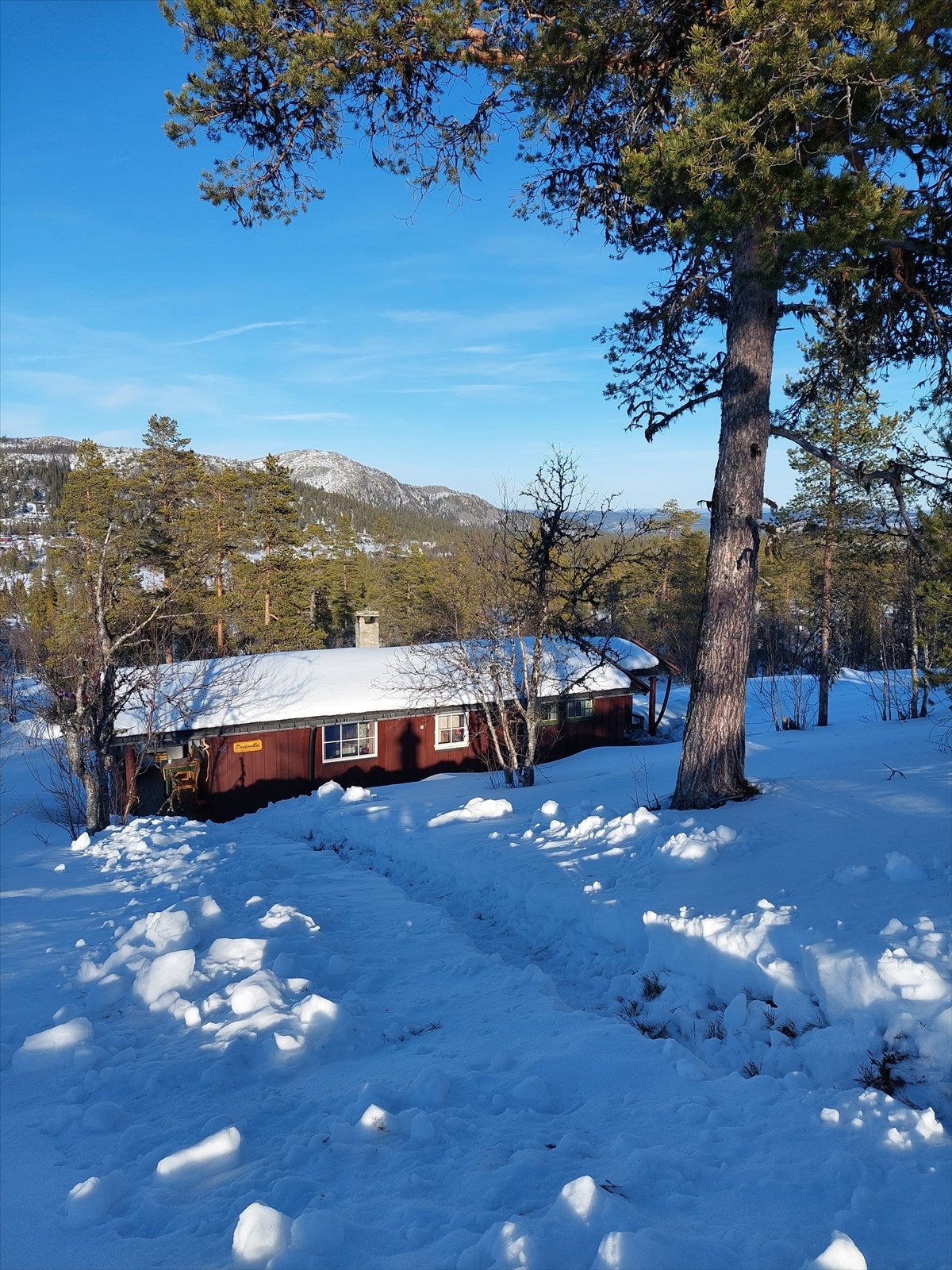 Fra parkeringslommen ved selve veien, er det få meter ned til selve hytta. Galleribilde