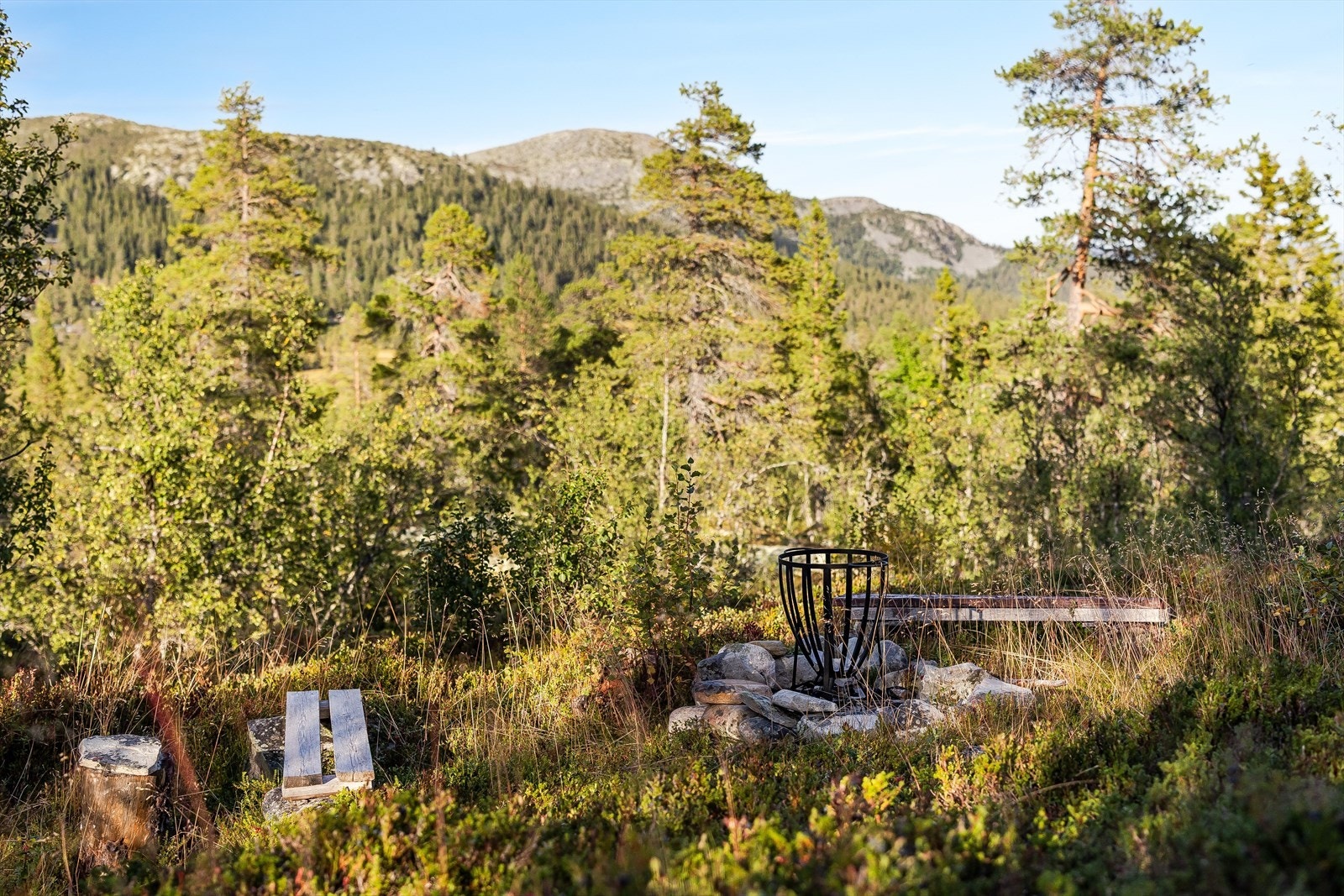 Utsikt mot Veslekletten sett fra bålplassen ved hytta. Galleribilde