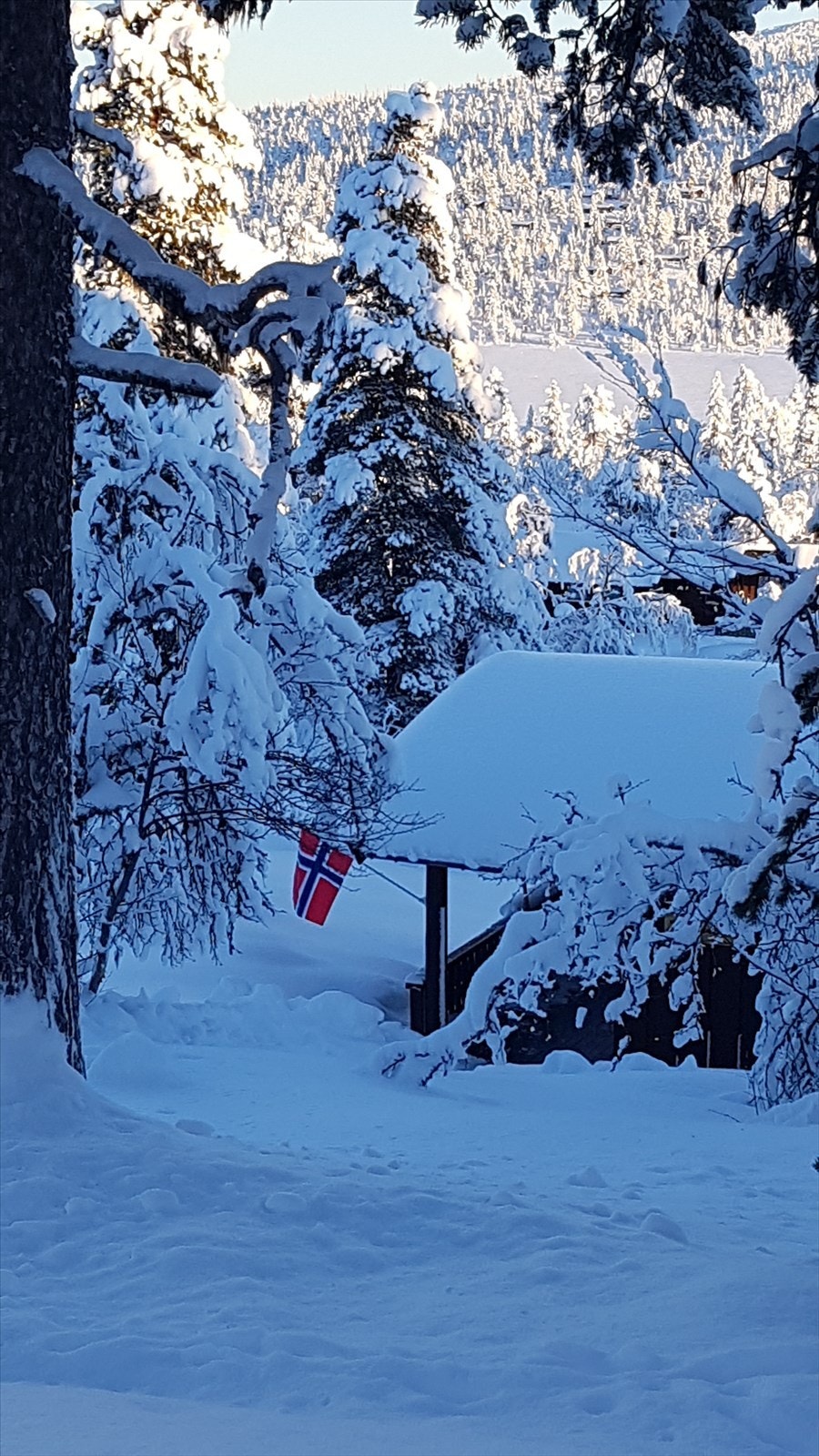 Eiendommen har en fin og lun beliggenhet i bjørkebeltet med utsikt og nydelige områder rett utenfor døren. Området ligger svært fint til midt blant vidder og fjell med fantastiske friluftsområder som byr på bl.a. gode jakt- og fiskemuligheter. Galleribilde