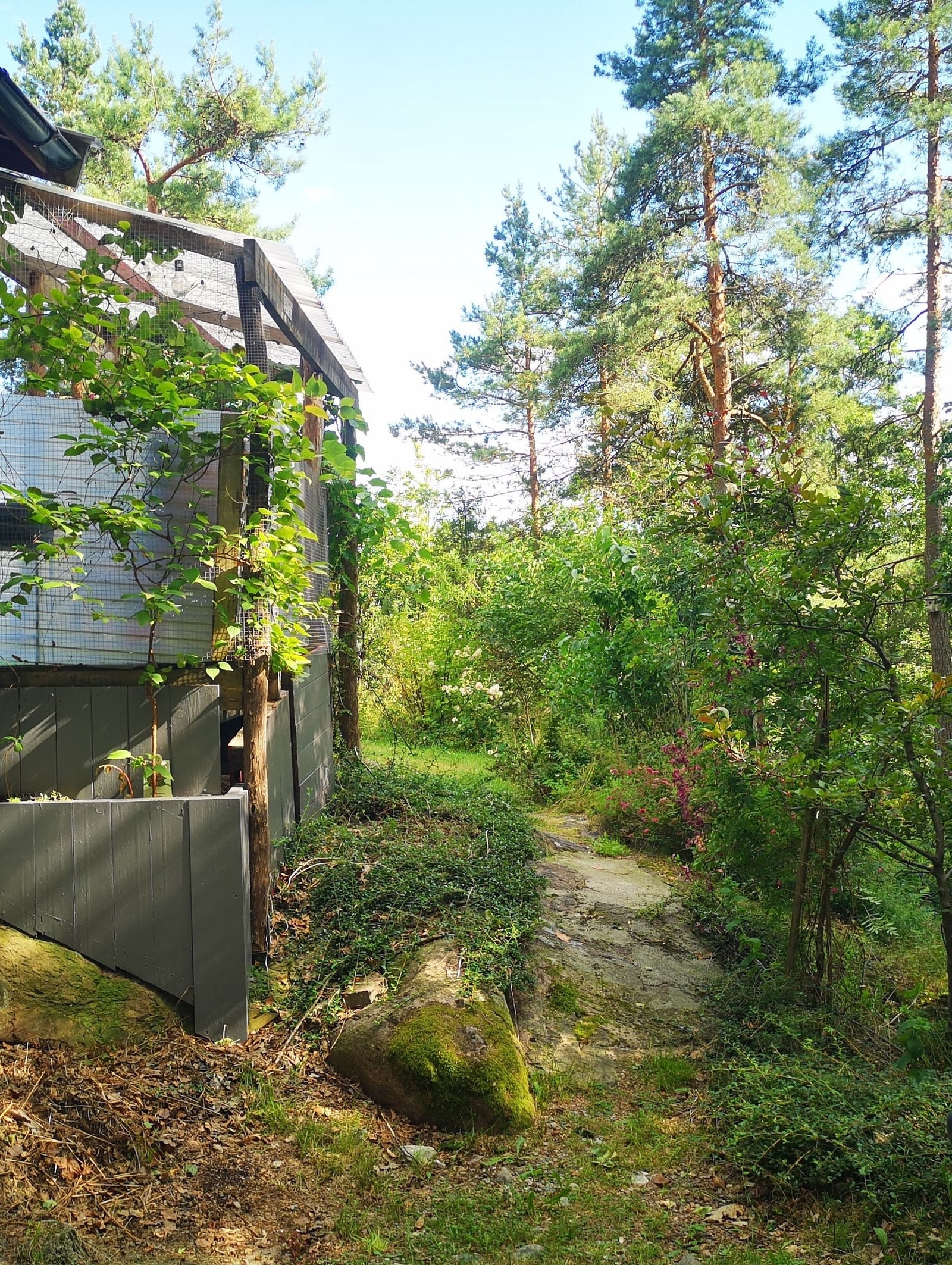 Inngangen til bakhagen Galleribilde