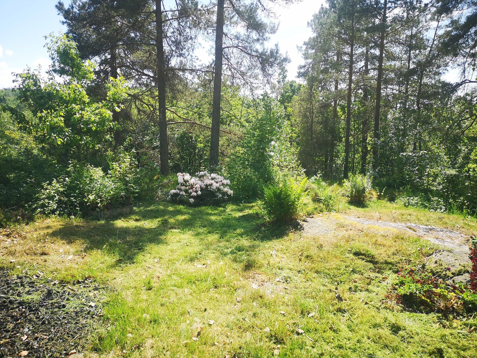 En del av bakhagen Galleribilde