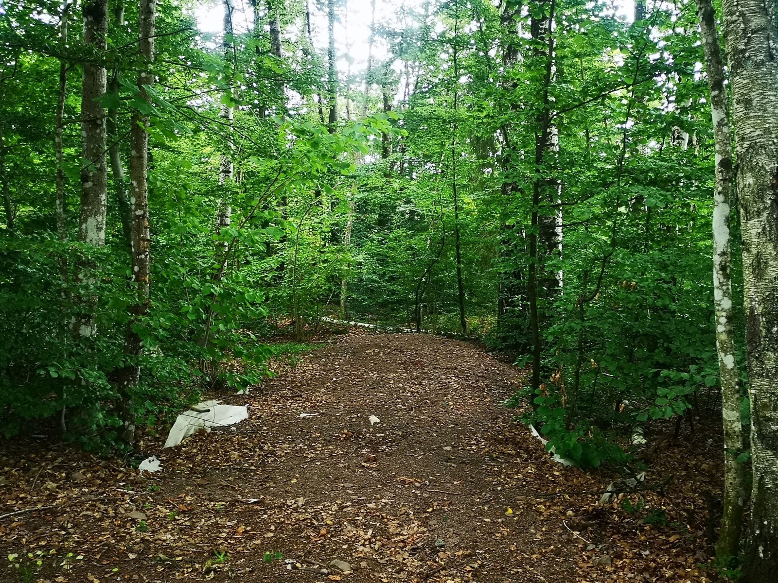 Oppstillingsplass for bobil/ campingvogn Galleribilde