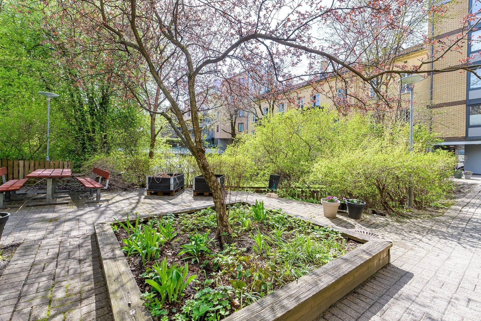 Sameiet har en skjermet og pent opparbeidet felles bakgård. Galleribilde