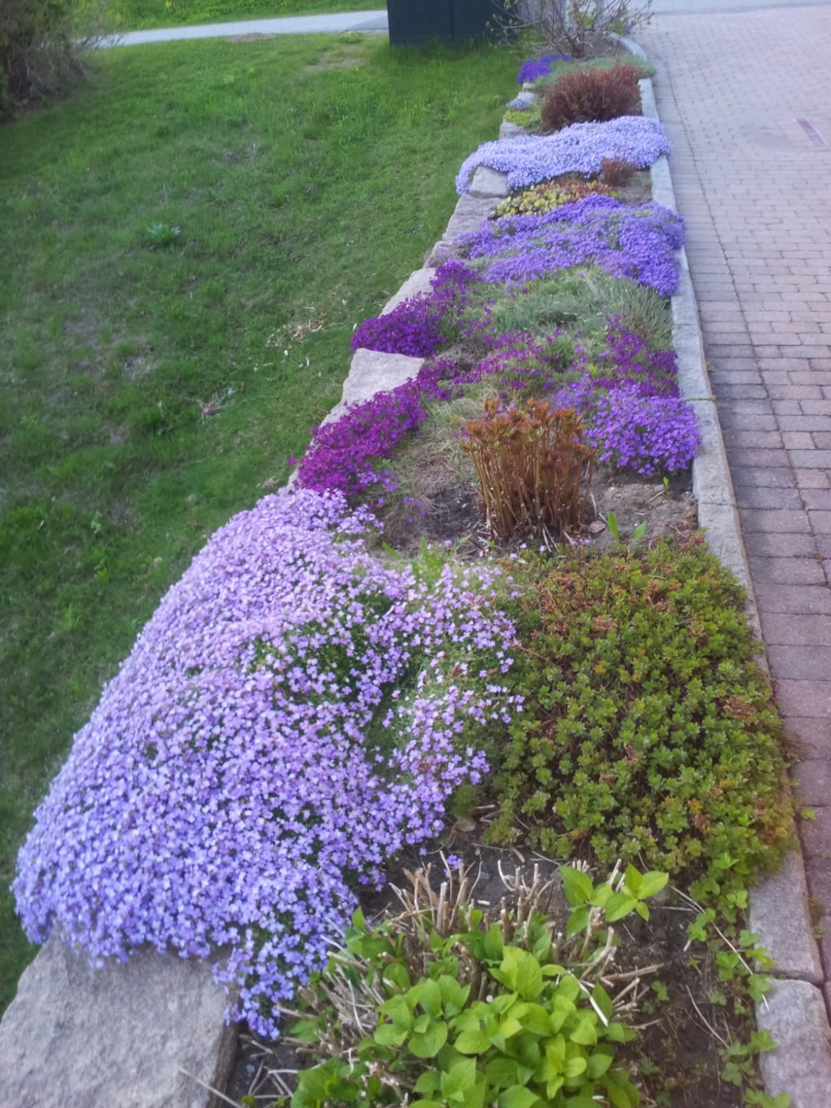 Selgers sommerbilde. Galleribilde