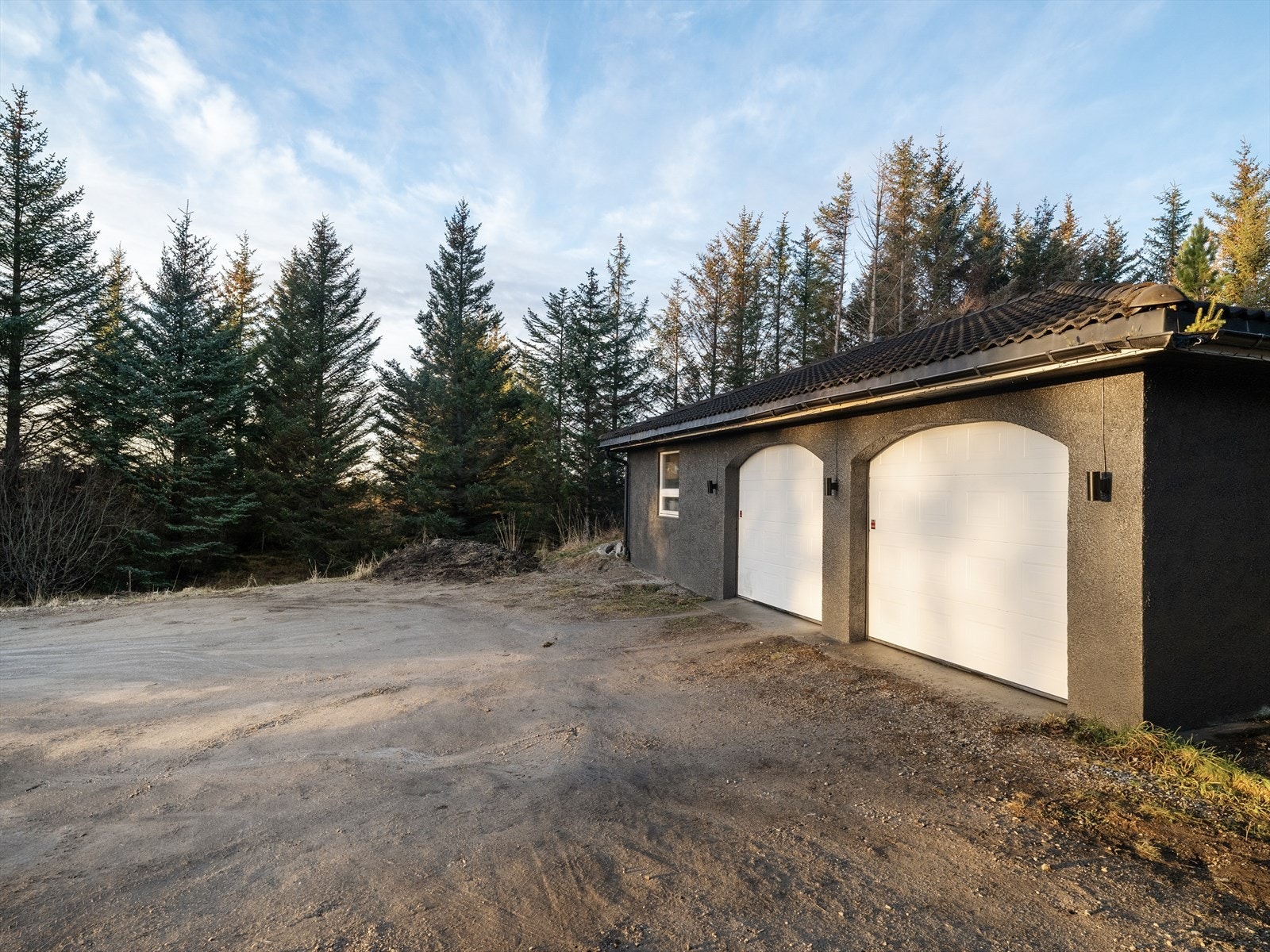 Dobbelgarasje Galleribilde