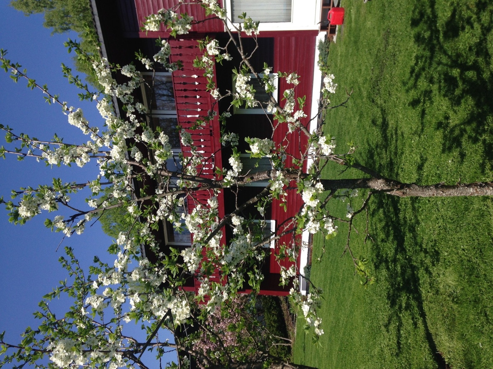 Selger har tatt Hardanger til Asker. La oss se hvordan eiendommen ser ut på sommeren. Galleribilde