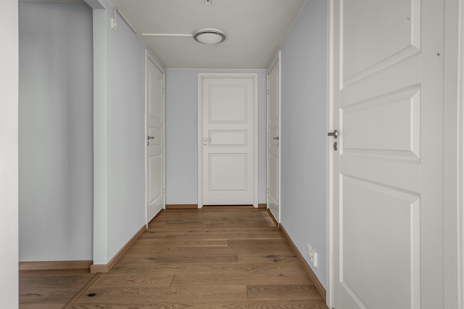 Mellomgang. Galleribilde