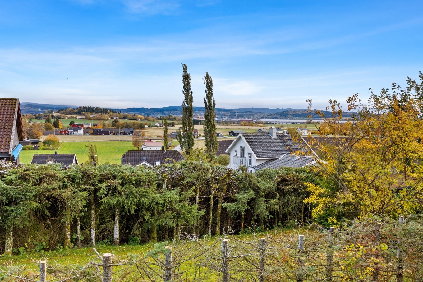 Utsikt fra terrassen Galleribilde