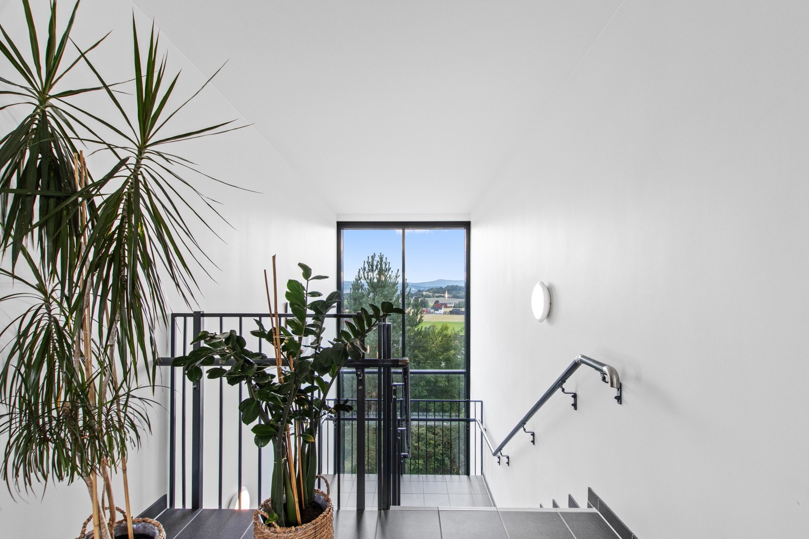 Gang/fellesområde Galleribilde