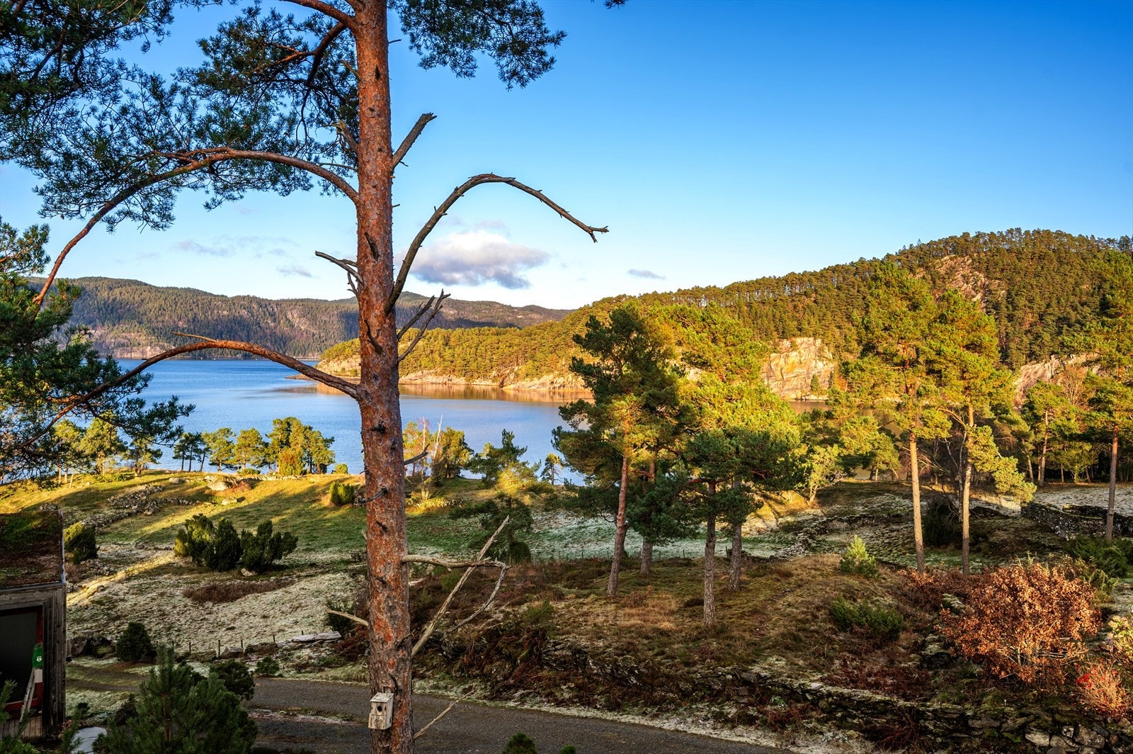 Fra din nye hytte kan du følge årstidene på nært hold, som en levende panoramafilm der lys og farger stadig skifter. Galleribilde