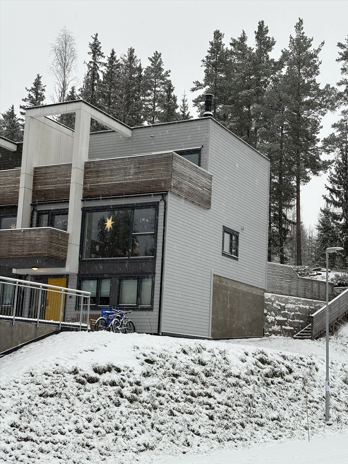 Vinterbilde. Galleribilde