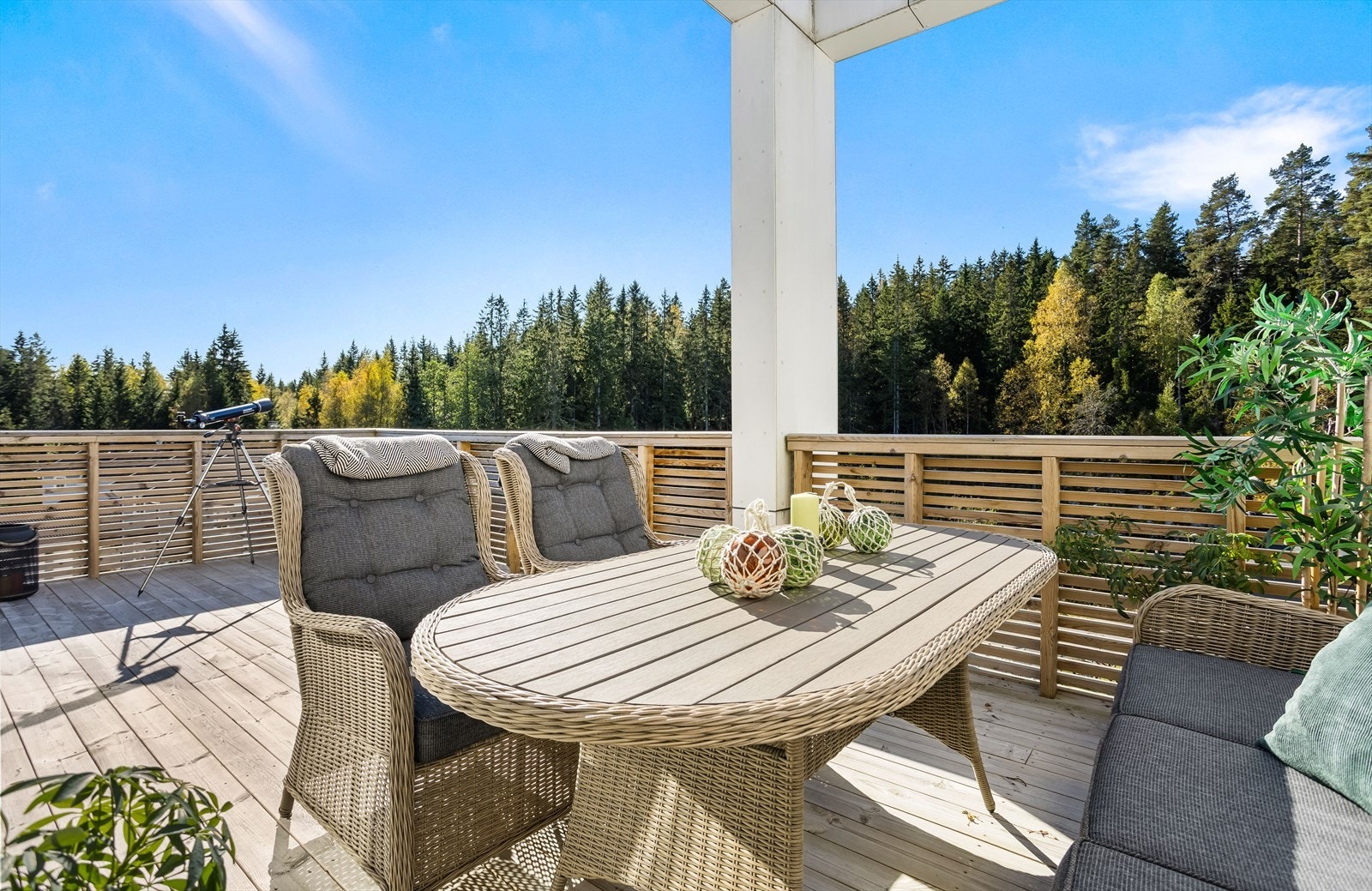 Gode solforhold. Galleribilde