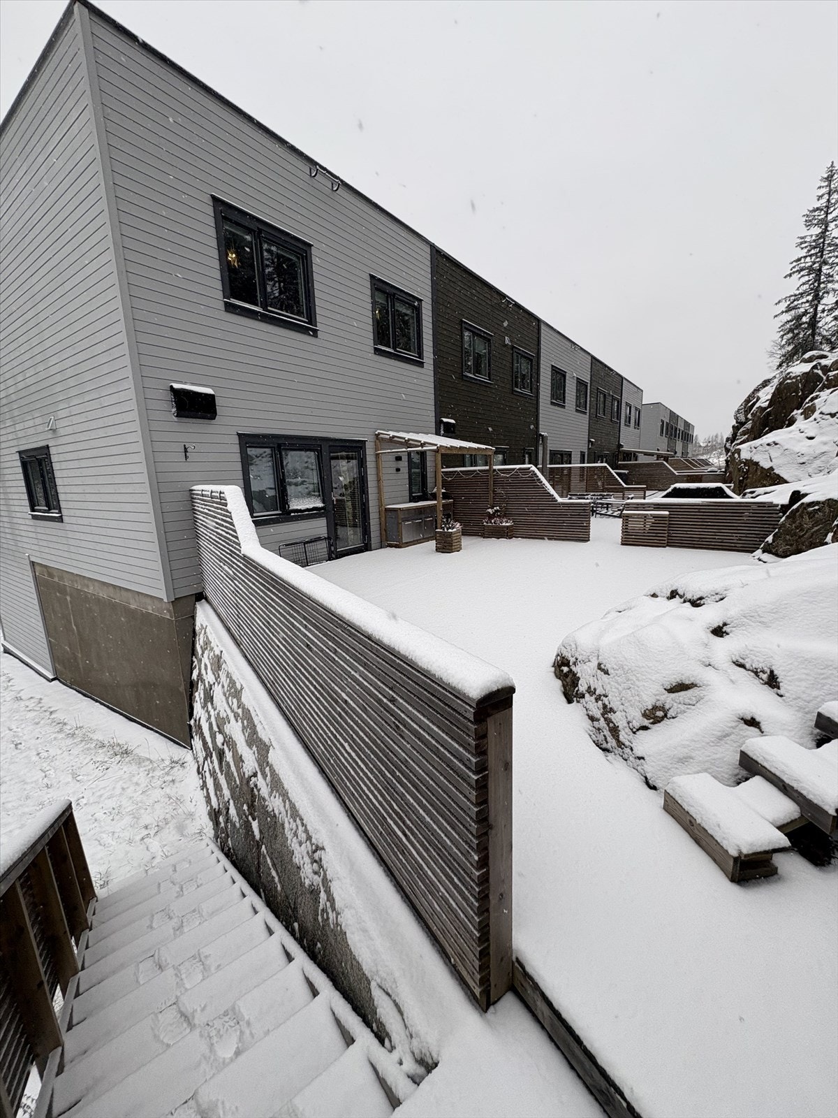 Vinterbilde. Galleribilde