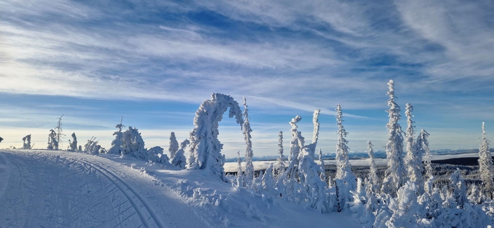 Selgers egne bilder - Om vinteren er Lygna med sine 620 moh. snøsikkert med snø tidlig, ofte alt i oktober. Løypene kjøres med løypemaskin så snart det er mulig. Sesongen varer gjerne til godt over påske. Galleribilde