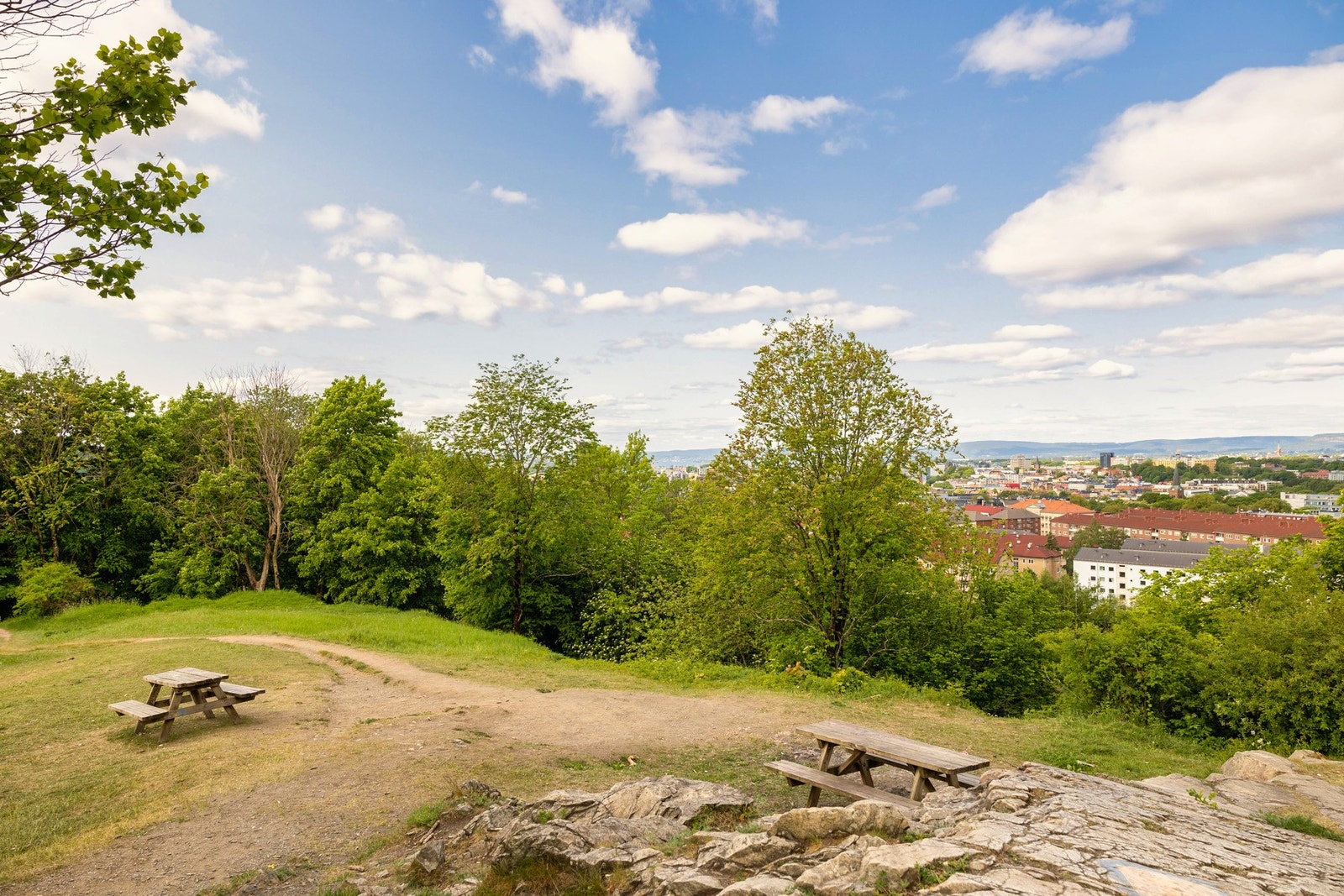 Nærområde - Olla Narr park. Botanisk hage er også like i nærheten Galleribilde