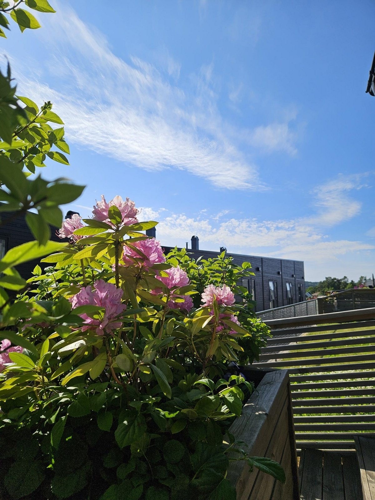 Selgers private bilde Galleribilde