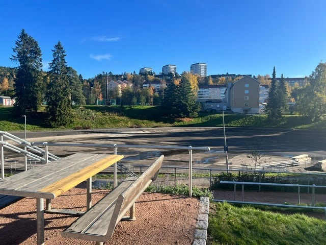 Årvolldammen er et populært bade- og rekreasjonsområde på Tonsenhagen, med nytt toalettbygg, HC-rampe og flytebrygger. Her finner du lekeplass, grill- og treningsområde, sandvolleyballbane, dusj og drikkefontene, samt kort vei til buss og matbutikk Galleribilde