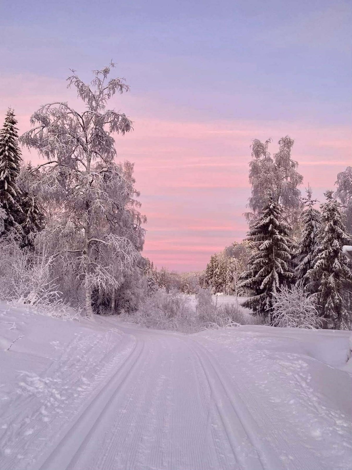 Lillomarka Galleribilde