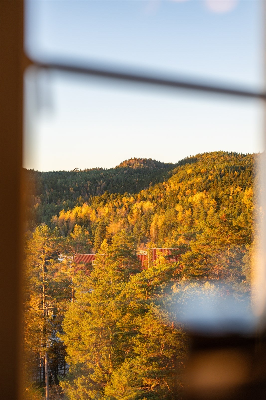 Utsikt rett fra kjøkkenvinduet - mil på mil med vakker natur i Lillomarka Galleribilde