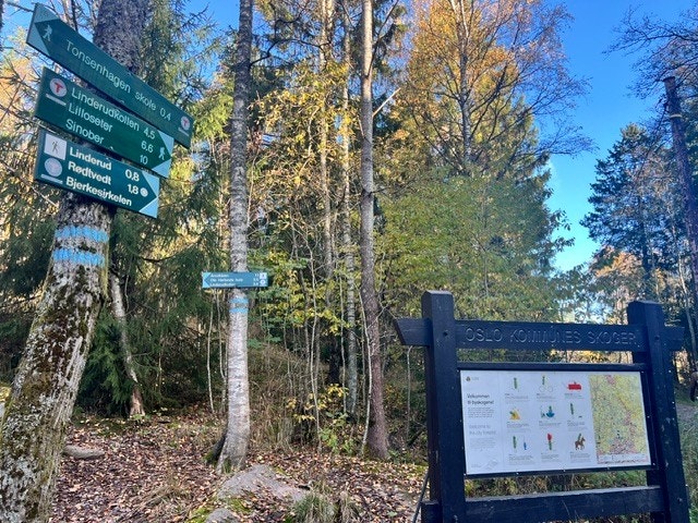 Lysløype og naturopplevelser rett utenfor døren - Boligen har en unik beliggenhet med umiddelbar nærhet til Lillomarka - et eldorado for natur- og friluftsinteresserte. Galleribilde