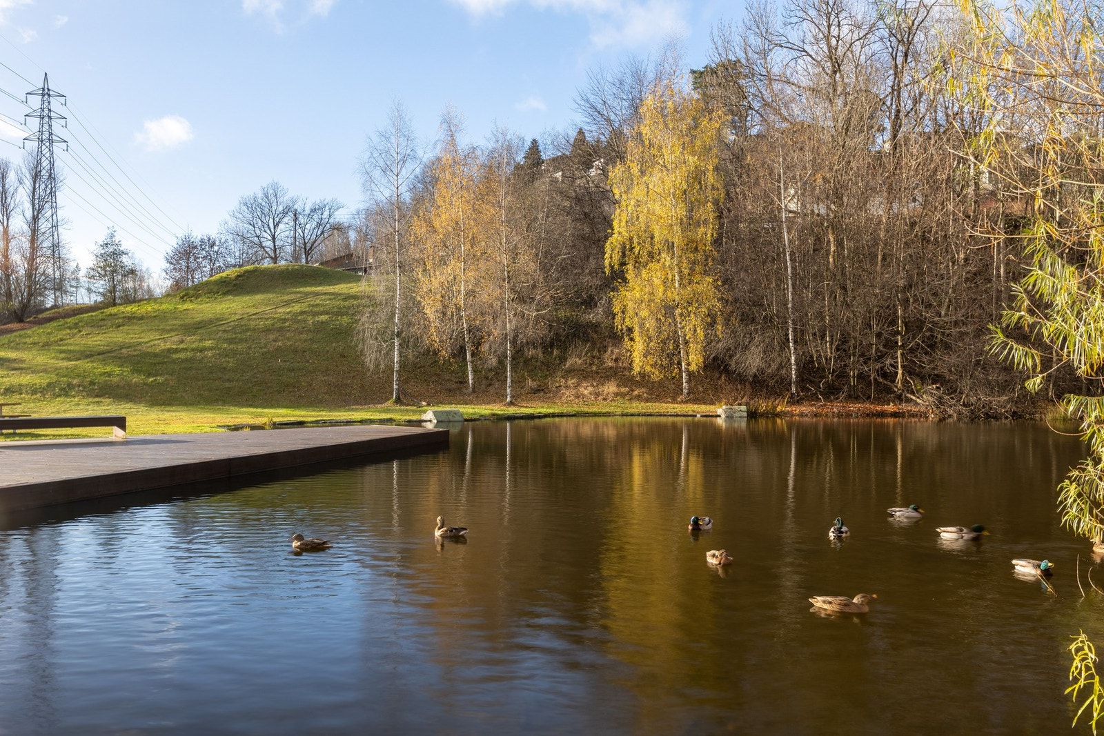 Nærområde Galleribilde