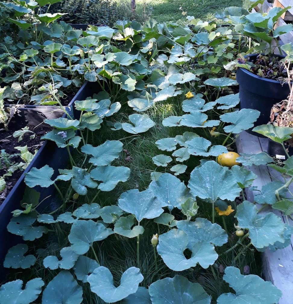 Fra 2019 Galleribilde