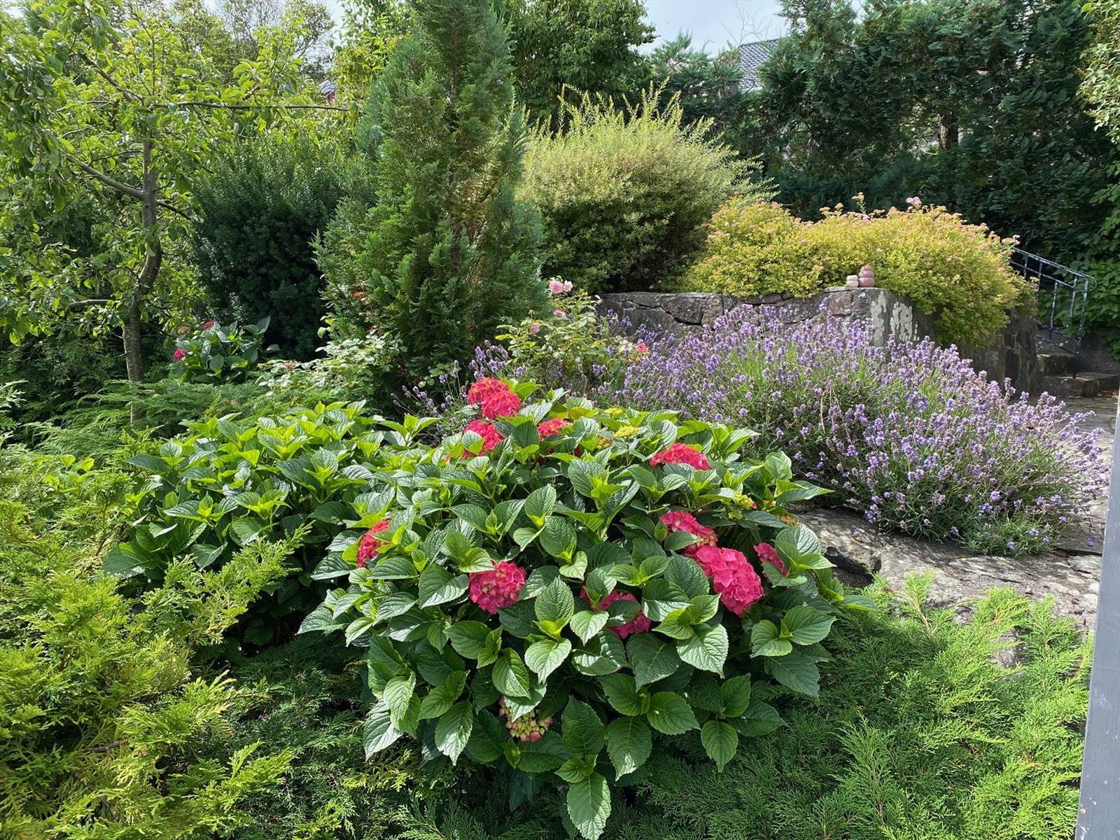 Privat bilde Galleribilde