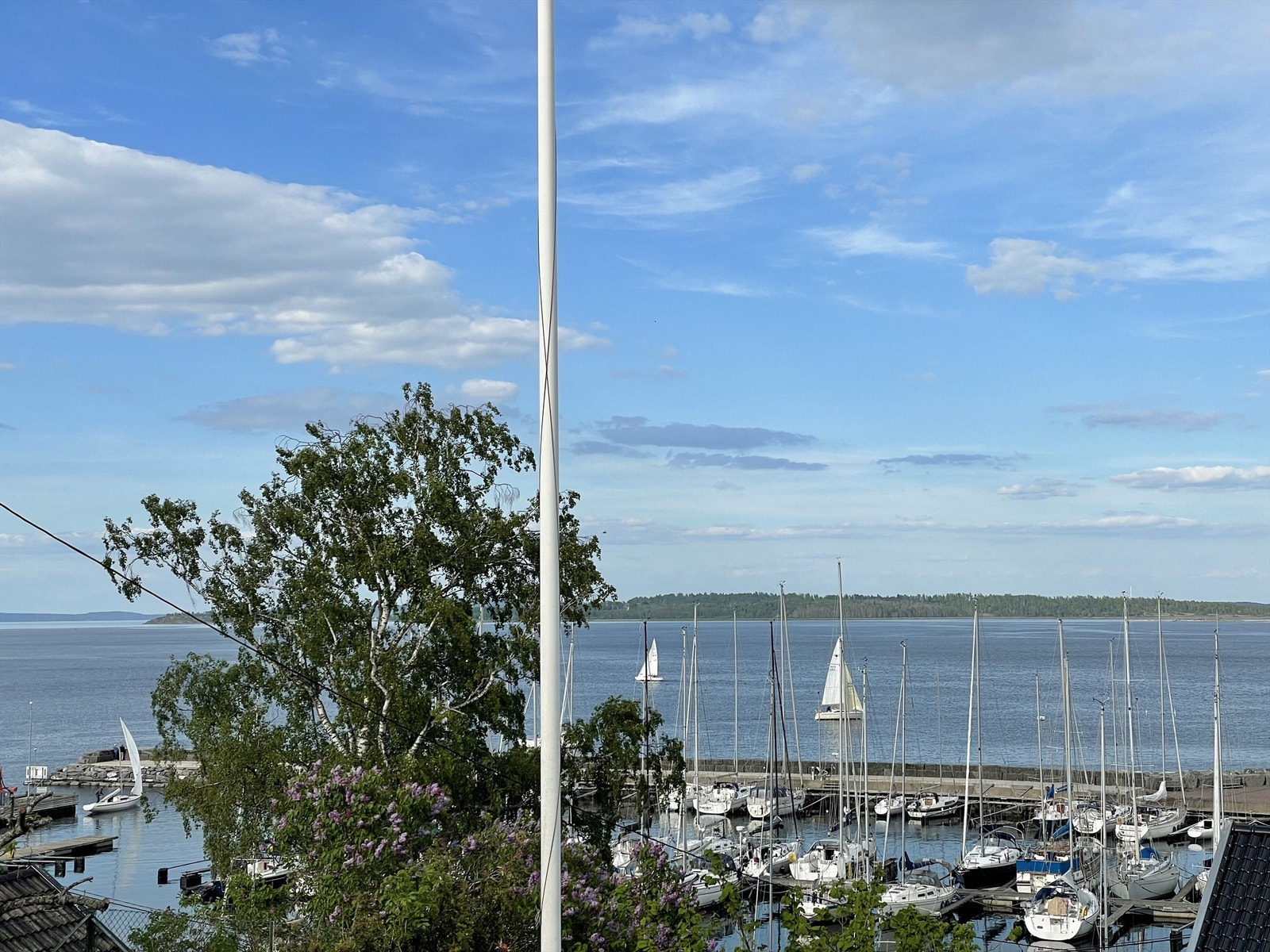 Privat bilde Galleribilde