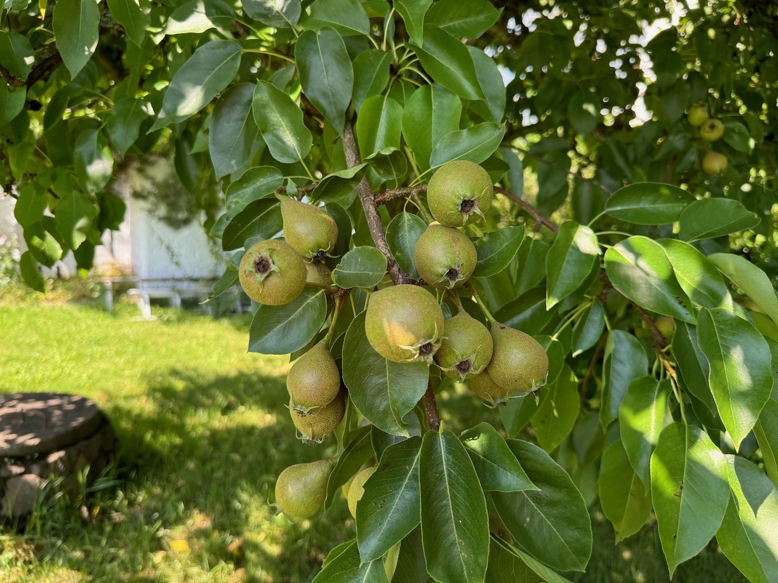 Privat bilde Galleribilde