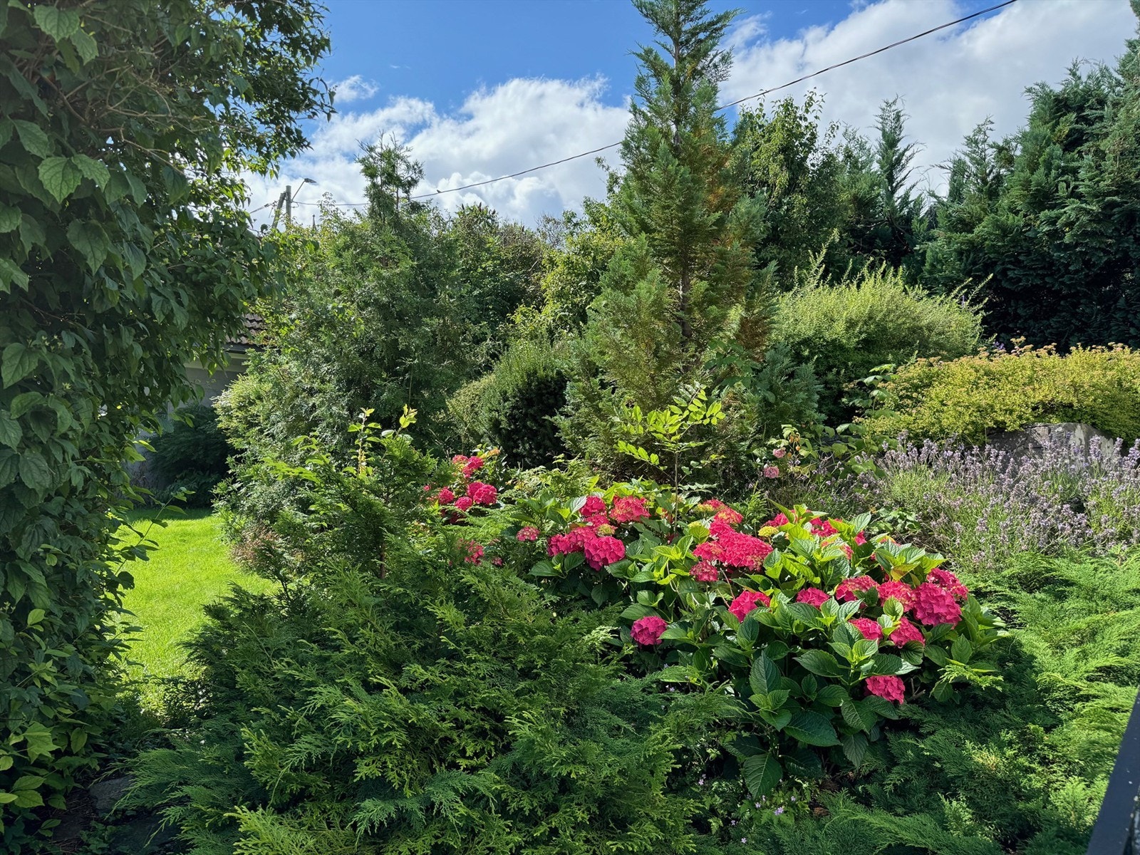 Privat bilde Galleribilde