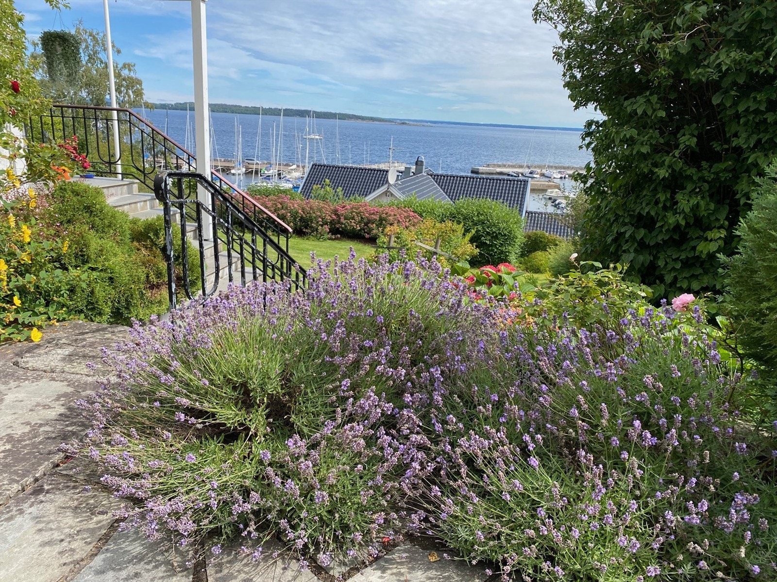 Privat bilde Galleribilde