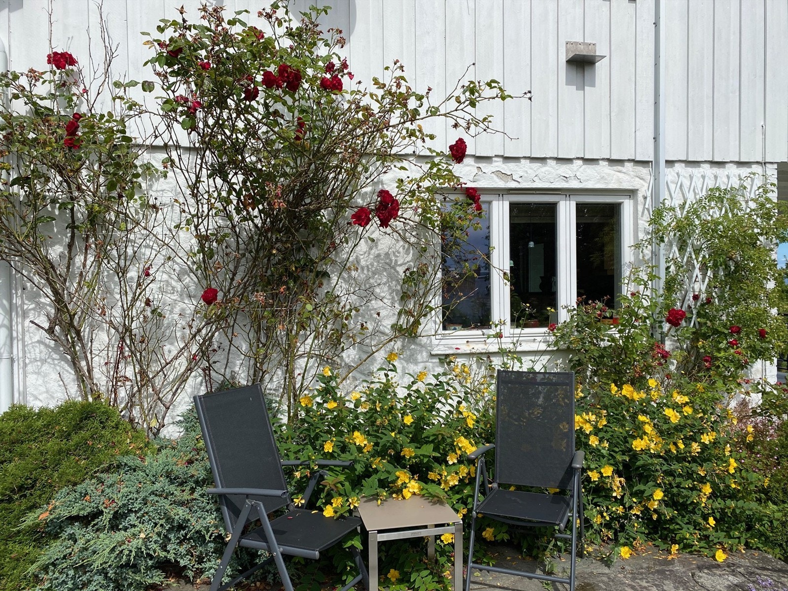 Privat bilde Galleribilde