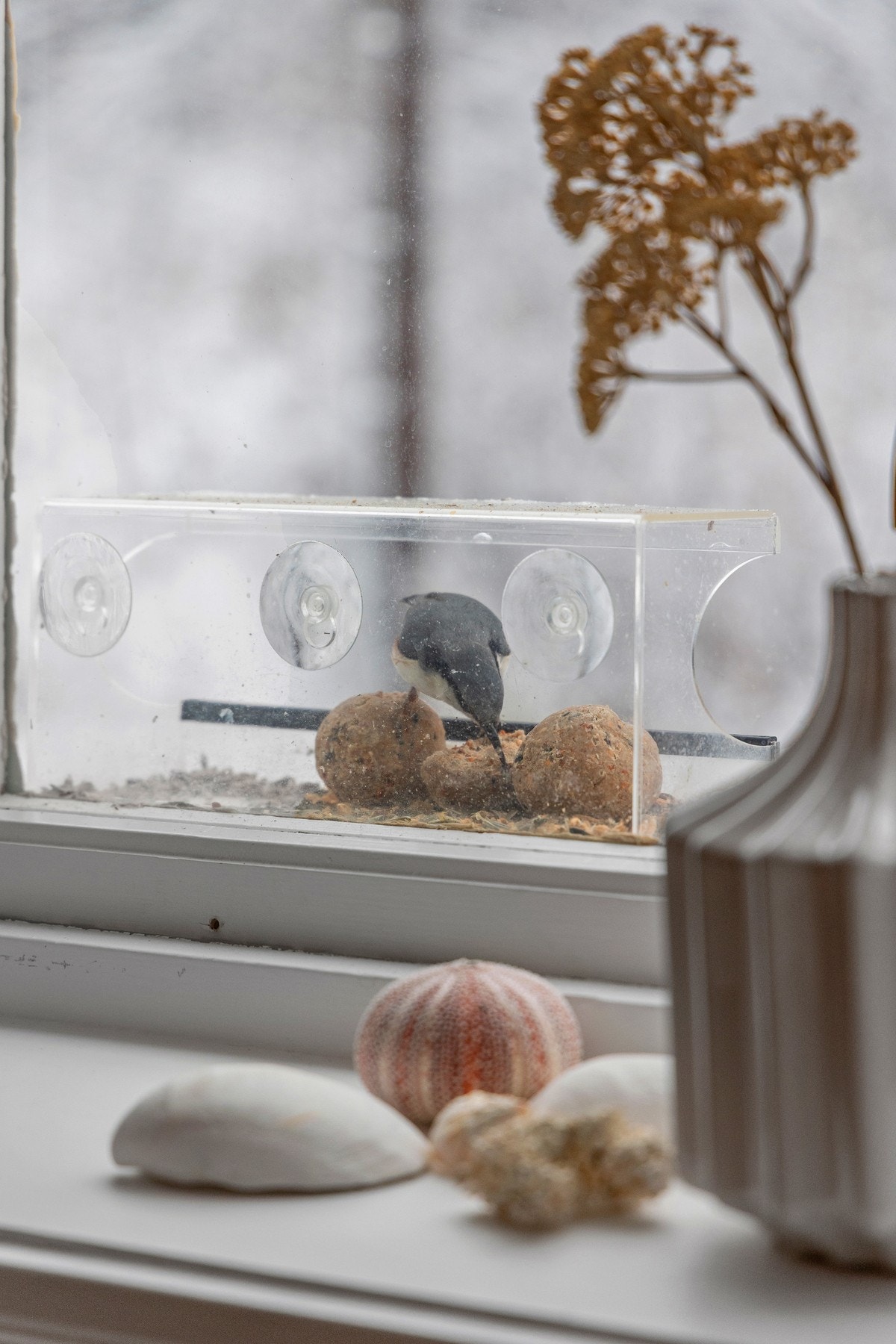 Her bor man tett opp i mot skogen, men samtidig sentralt. Galleribilde