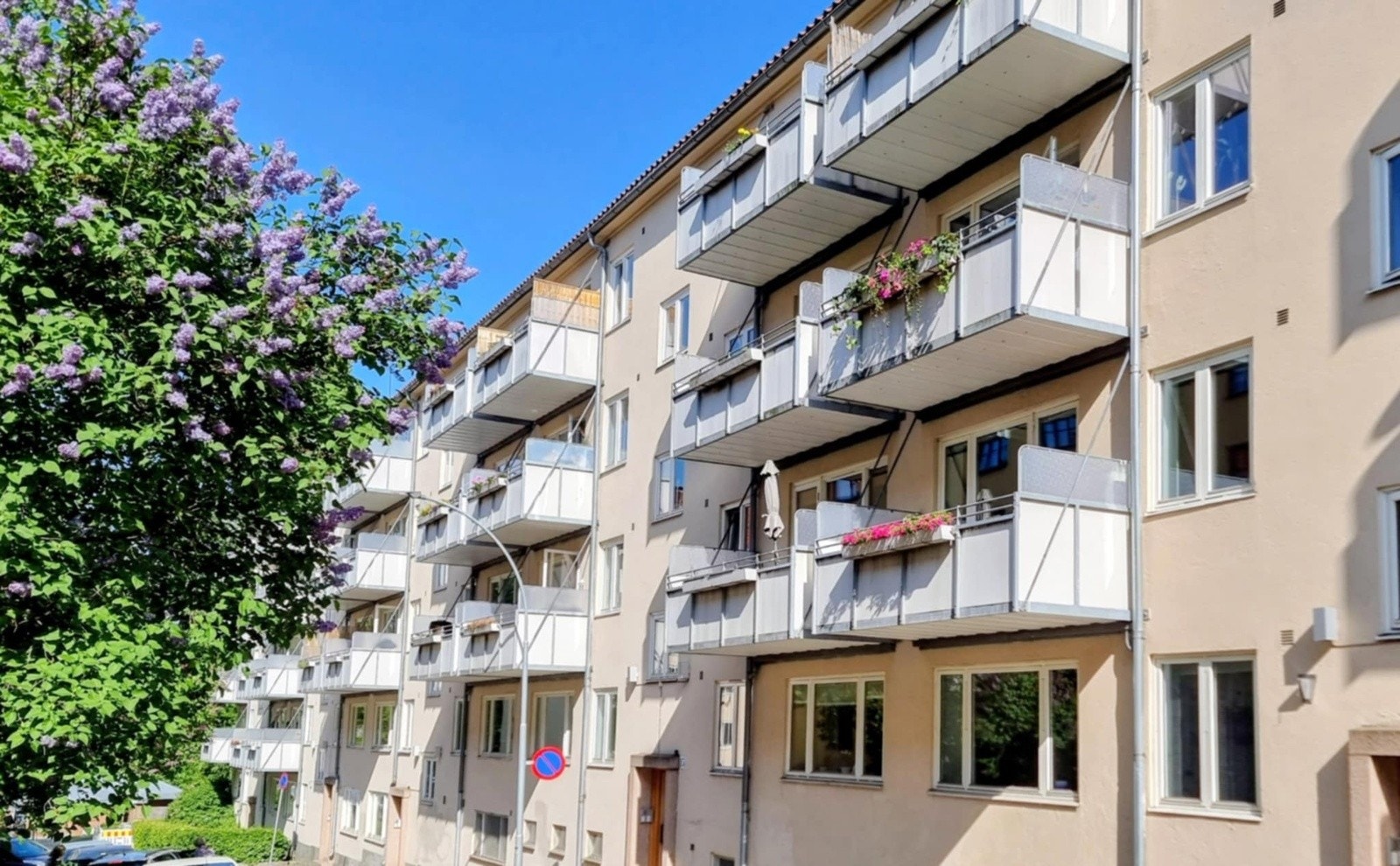 Selgers eget bilde Galleribilde