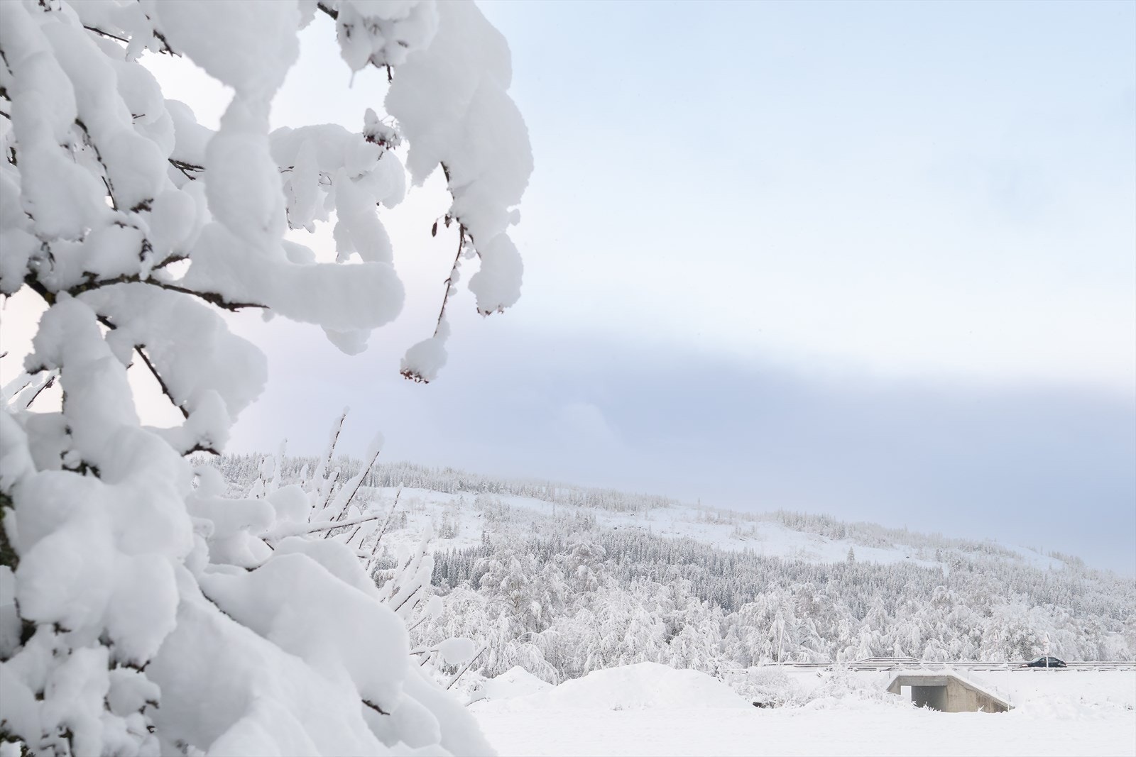 Her har man flott turterreng rett utenfor døra og kort avstand til skoler, barnehage, idrettsanlegg, butikk mm. Galleribilde