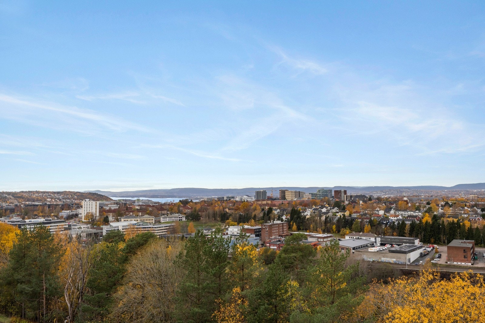 Utsikt fra leiligheten Galleribilde