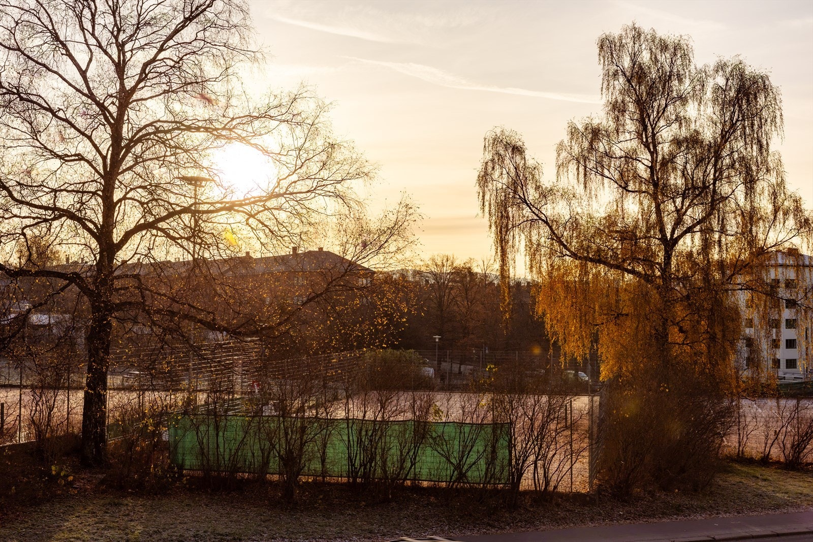 Fritt utsyn over trær og baner rett utenfor bygget. Sol fra morgen til 19:30 midt på sommeren. Galleribilde