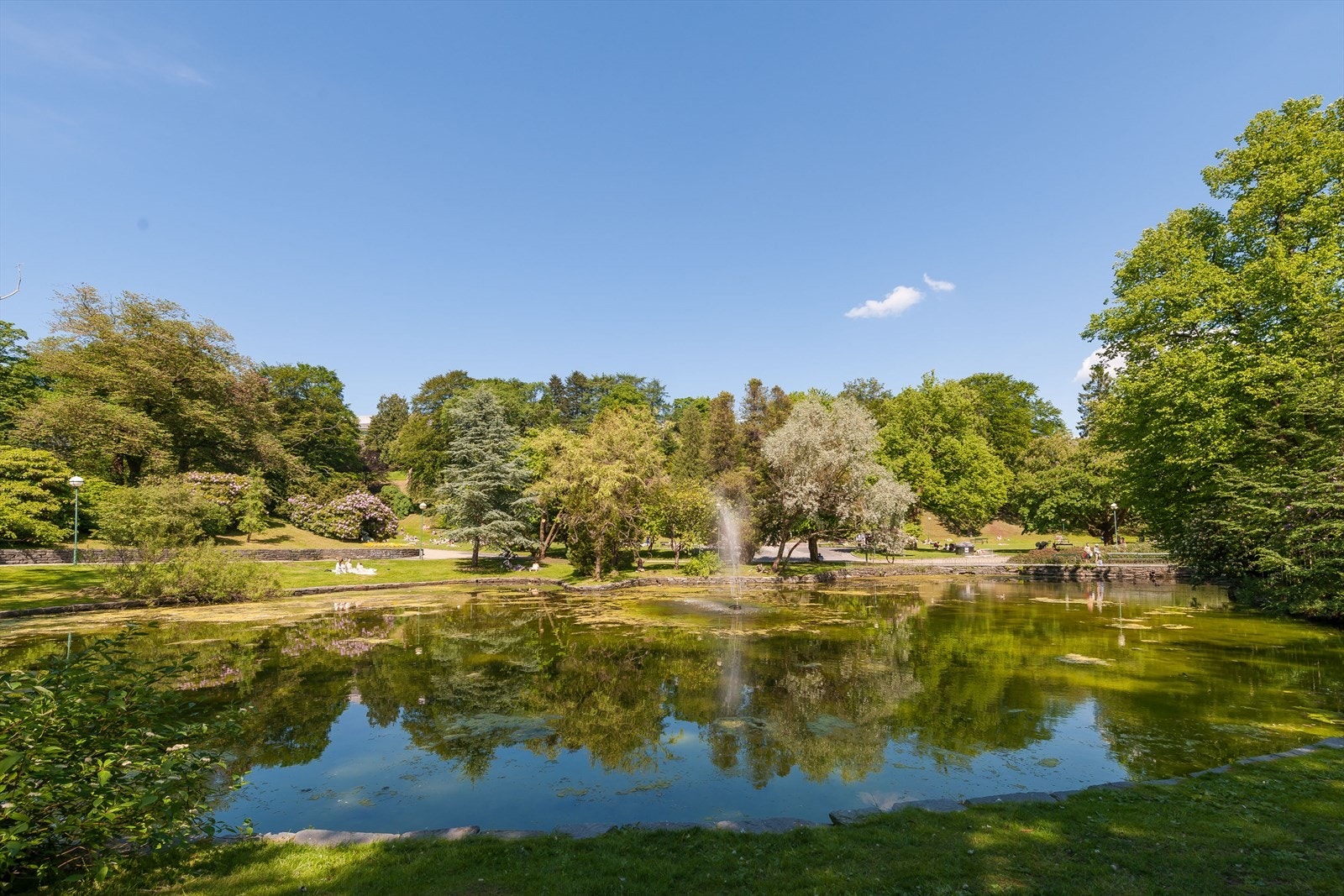 Kort spasertur noen gater unna finner man Nygårdsparken. En stor grønn lunge i hjertet av Bergen. Galleribilde