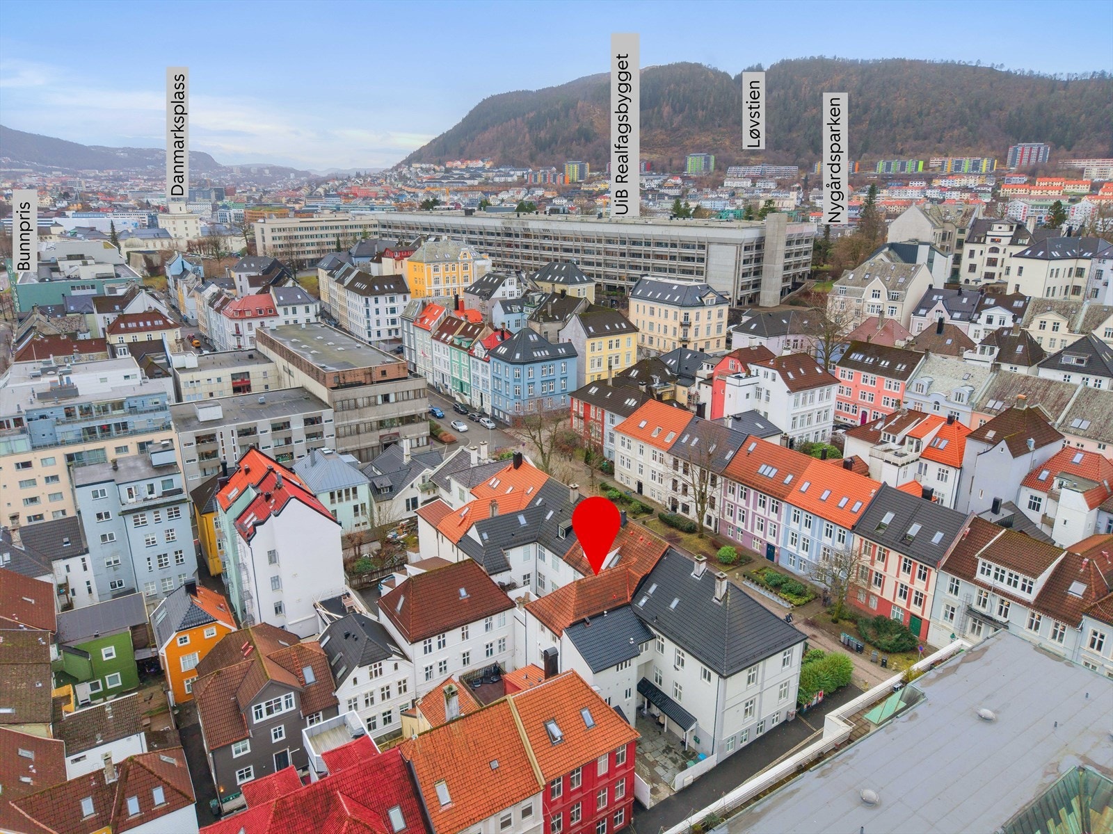 Oversikt over nærområdet retning sør. Galleribilde