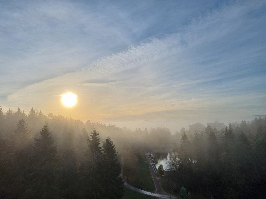 Privat foto; Utsikt morgen Galleribilde