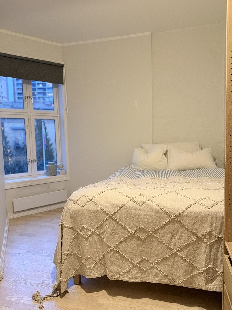 Vinduet gir morgensol Galleribilde