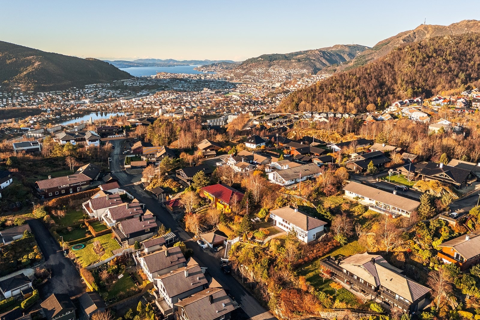 Område Galleribilde