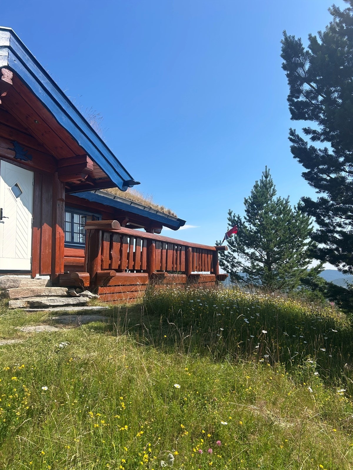 Privat bilde av adkomsten på sommerstid. Galleribilde