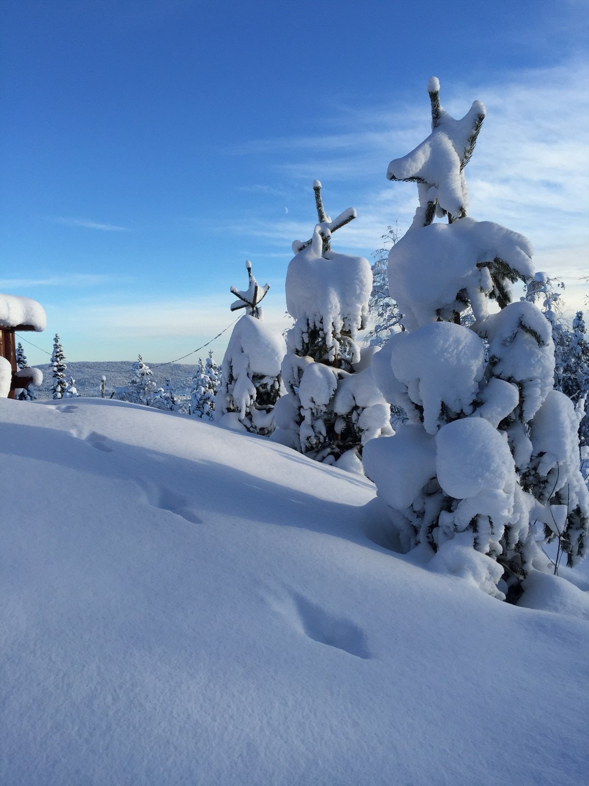 Privat vinterbilde fra utenfor hytta. Galleribilde